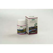 Моно-биол Расторопша таблетки №90